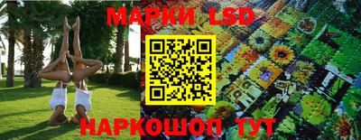 ГАЛЛЮЦИНОГЕННЫЕ ГРИБЫ Гатчина