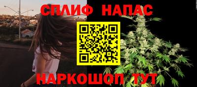 ГАЛЛЮЦИНОГЕННЫЕ ГРИБЫ Гатчина