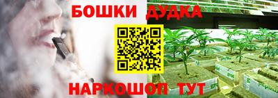 амф Гай