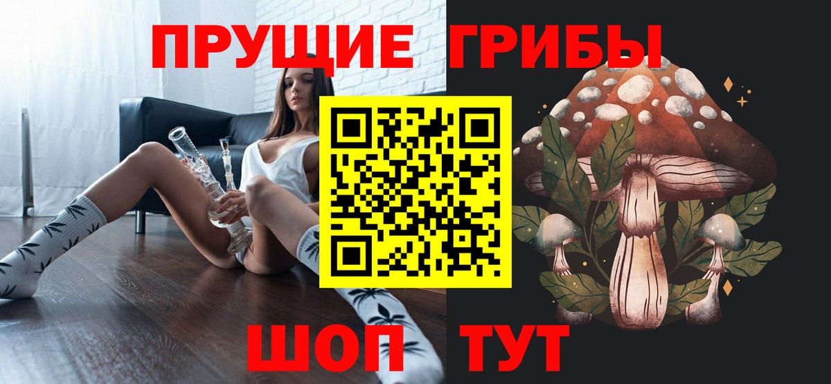 Черногорск  Галлюциногенные грибы Psilocybe  Вход с VPN 