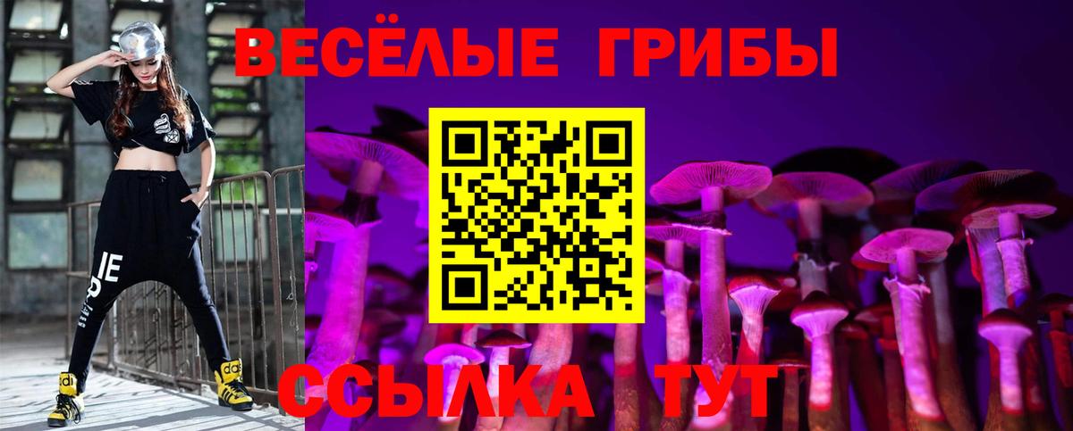 Галлюциногенные грибы прущие грибы Черногорск